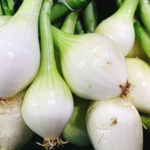 full-frame-shot-vegetables
